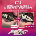 Oral Pet Spray Bucal Limpiador Mascotas